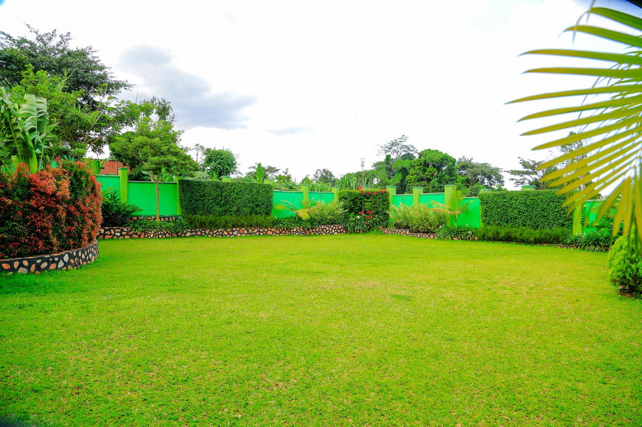 Garden Detail